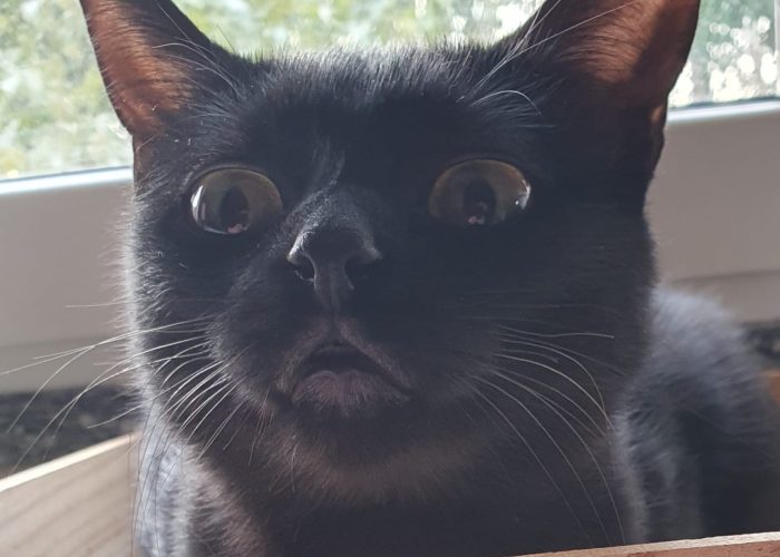 PHOTO-2023-05-02-11-27-53 10